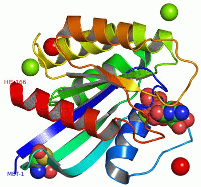 Image Asym./Biol. Unit - manually