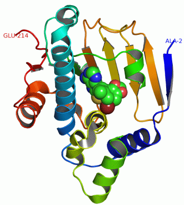 Image Asym./Biol. Unit - manually