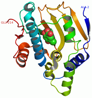 Image Asym./Biol. Unit - manually