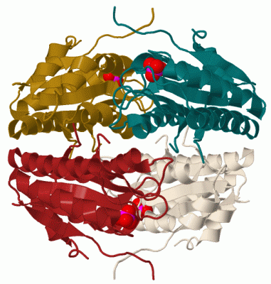 Image Biol.Unit 1 - manually