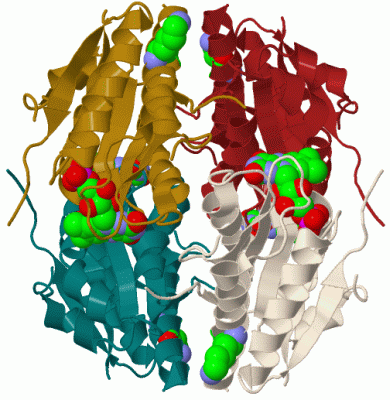 Image Biol.Unit 1 - manually