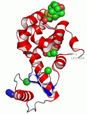 Image Asym./Biol. Unit - manually