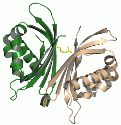 Image Asym./Biol. Unit - manually