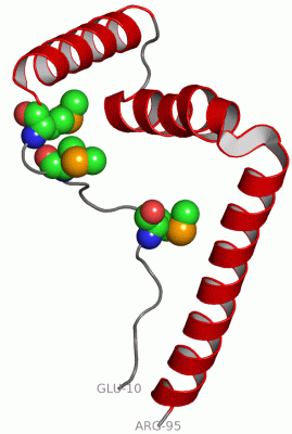 Image Asym.Unit - manually