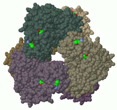 Image Biol.Unit 1 - manually