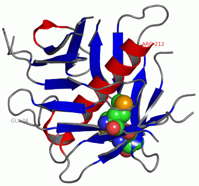 Image Asym./Biol. Unit - manually