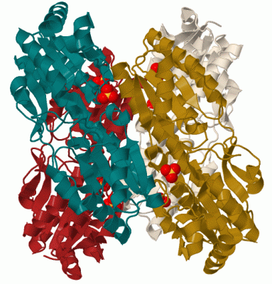 Image Biol.Unit 1 - manually