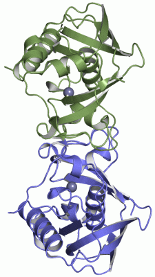 Image Asym./Biol. Unit - manually