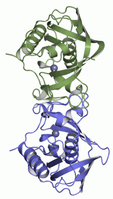 Image Asym./Biol. Unit - manually