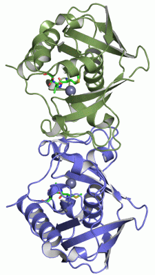 Image Asym./Biol. Unit - manually