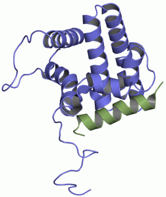 Image NMR Structure - manually