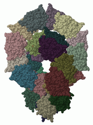 Image Biol.Unit 1 - manually