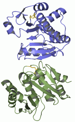 Image Asym.Unit - manually