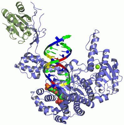 Image Asym./Biol. Unit - manually