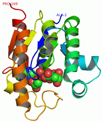 Image Asym./Biol. Unit - manually