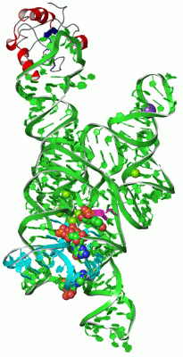 Image Asym./Biol. Unit - manually