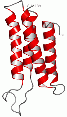 Image NMR Structure - manually