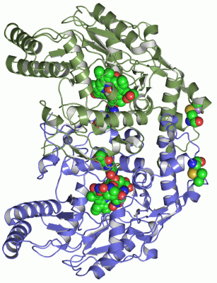 Image Asym./Biol. Unit - manually