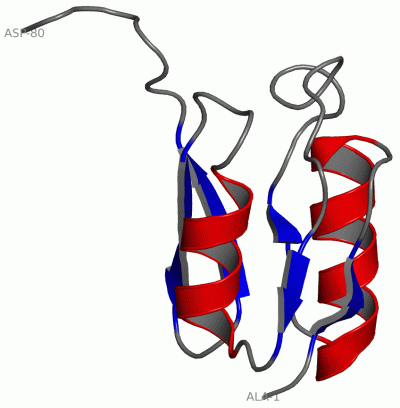 Image NMR Structure - manually