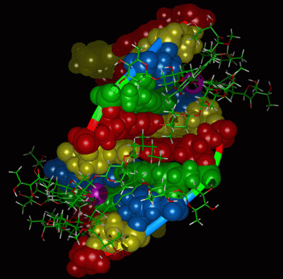 Image NMR Structure - manually