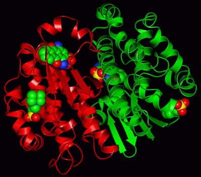 Image Asym./Biol. Unit - manually