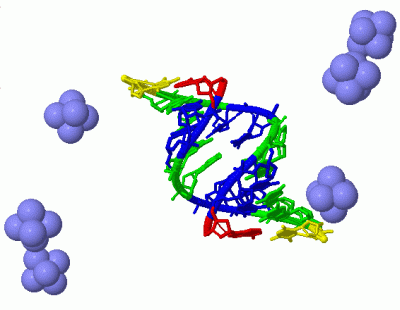 Image Biol.Unit 1 - manually