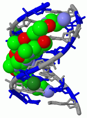 Image Biol.Unit 1 - manually