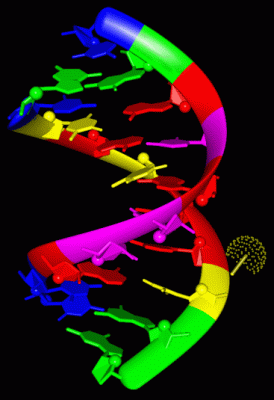 Image NMR Structure - manually