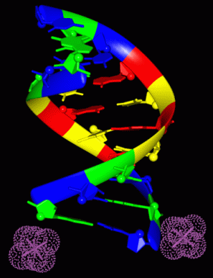 Image Asym./Biol. Unit - manually