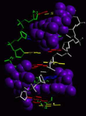 Image Asym./Biol. Unit - manually