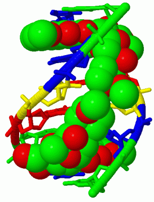 Image Biol.Unit 1 - manually