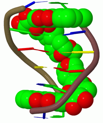 Image Biol.Unit 1 - manually