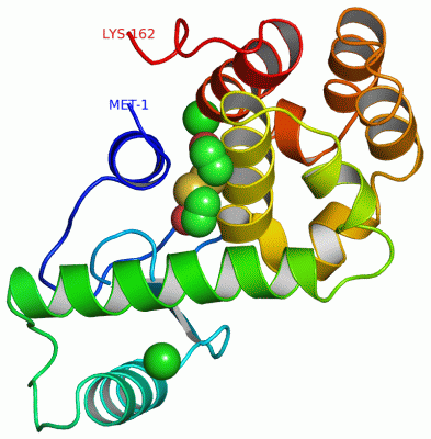 Image Asym./Biol. Unit - manually