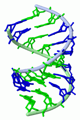 Image Asym./Biol. Unit - manually