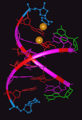 Image Asym./Biol. Unit - manually