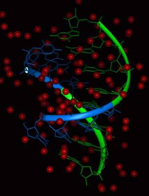 Image Asym./Biol. Unit - manually