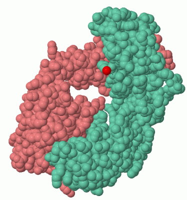 Image Asym./Biol. Unit - manually