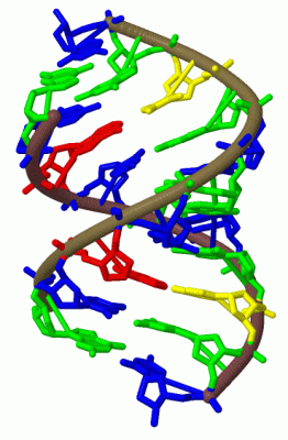 Image Biol.Unit 1 - manually