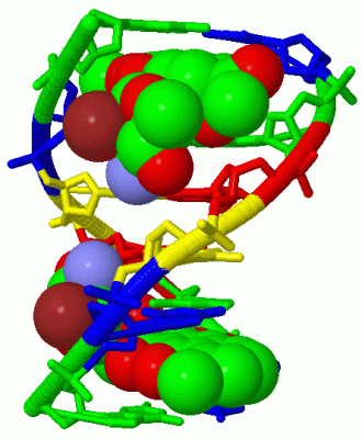 Image Biol.Unit 1 - manually