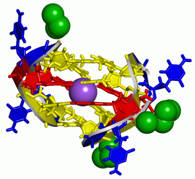 Image Asym./Biol. Unit - manually