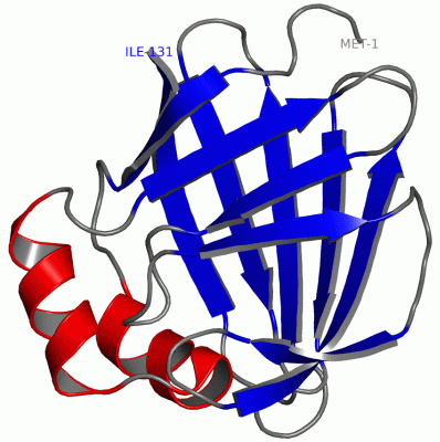 Image NMR Structure - manually