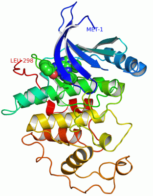 Image Asym./Biol. Unit - manually