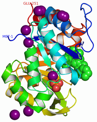 Image Asym./Biol. Unit - manually