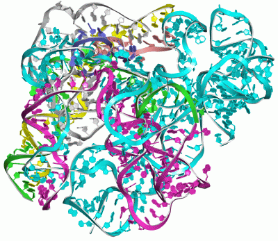 Image Theor.Model - manually