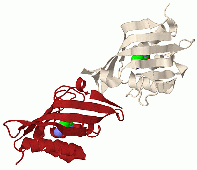 Image Biol.Unit 1 - manually
