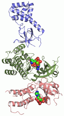 Image Asym./Biol. Unit - manually