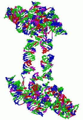 Image Biol.Unit 1 - manually