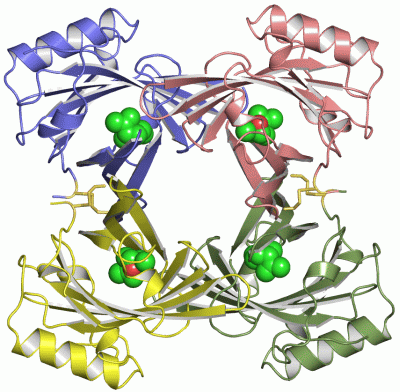 Image Asym./Biol. Unit - manually