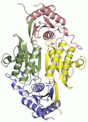 Image Asym.Unit - manually