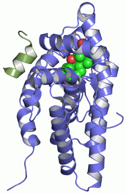 Image Asym./Biol. Unit - manually